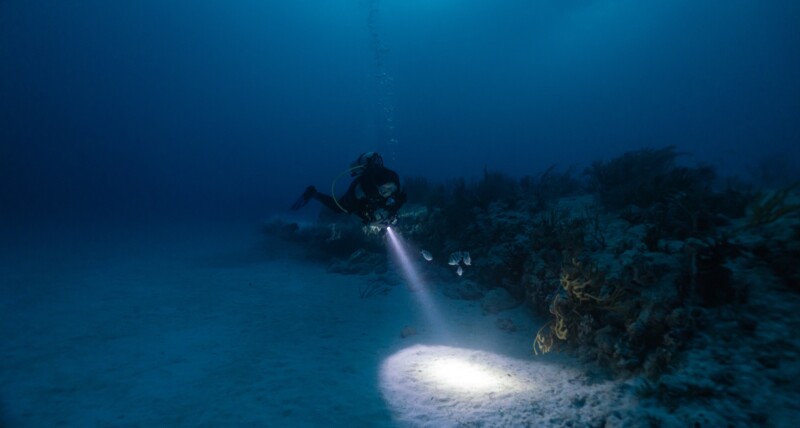 female scuba diver posing in front of coral reef in a night dive