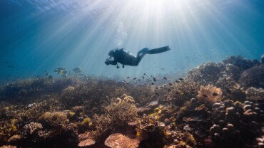Mesmerizing view of a female scuba diver swimming underwater